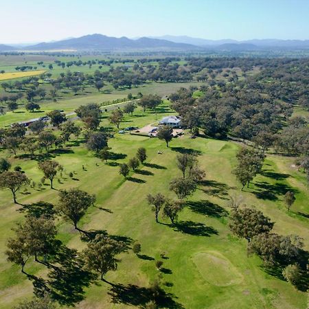 Quirindi Sunflower Motor Inn Esterno foto