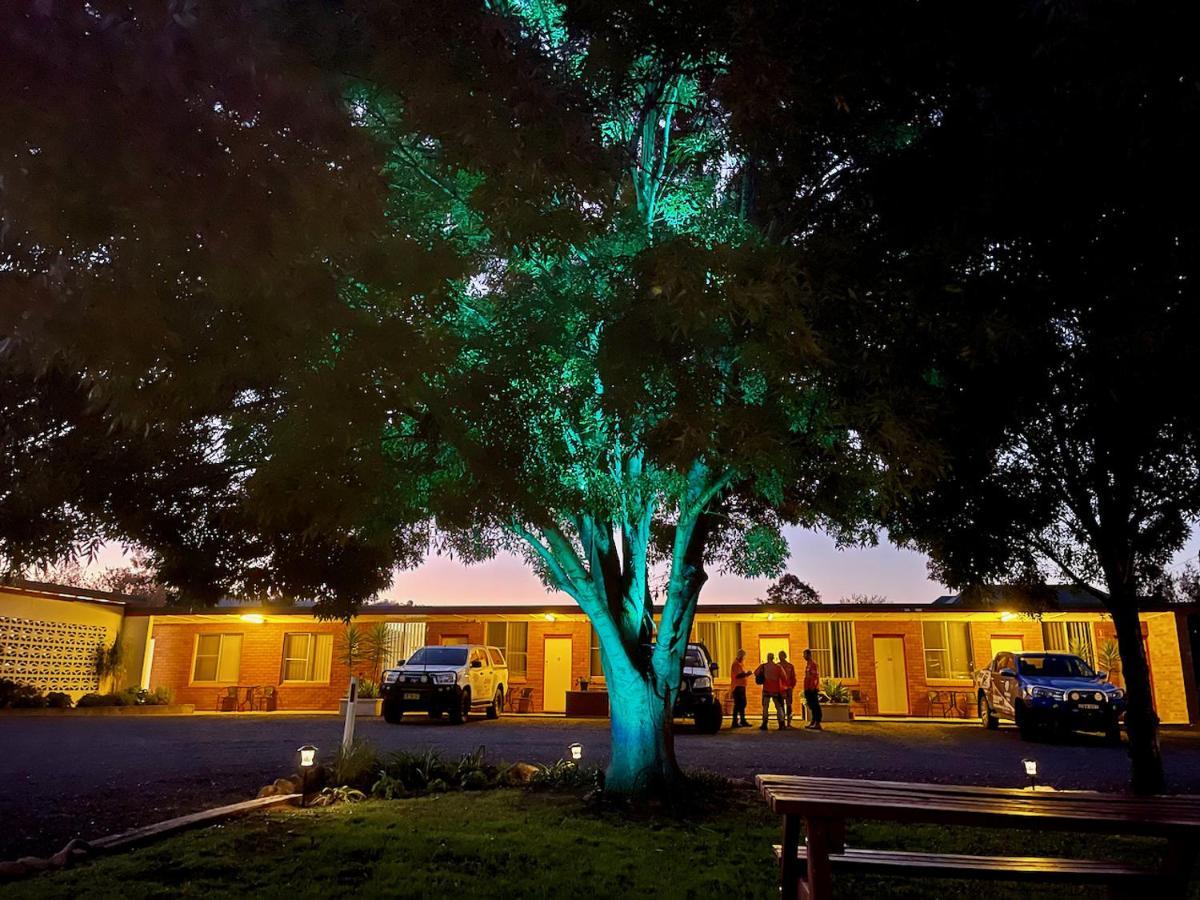 Quirindi Sunflower Motor Inn Esterno foto