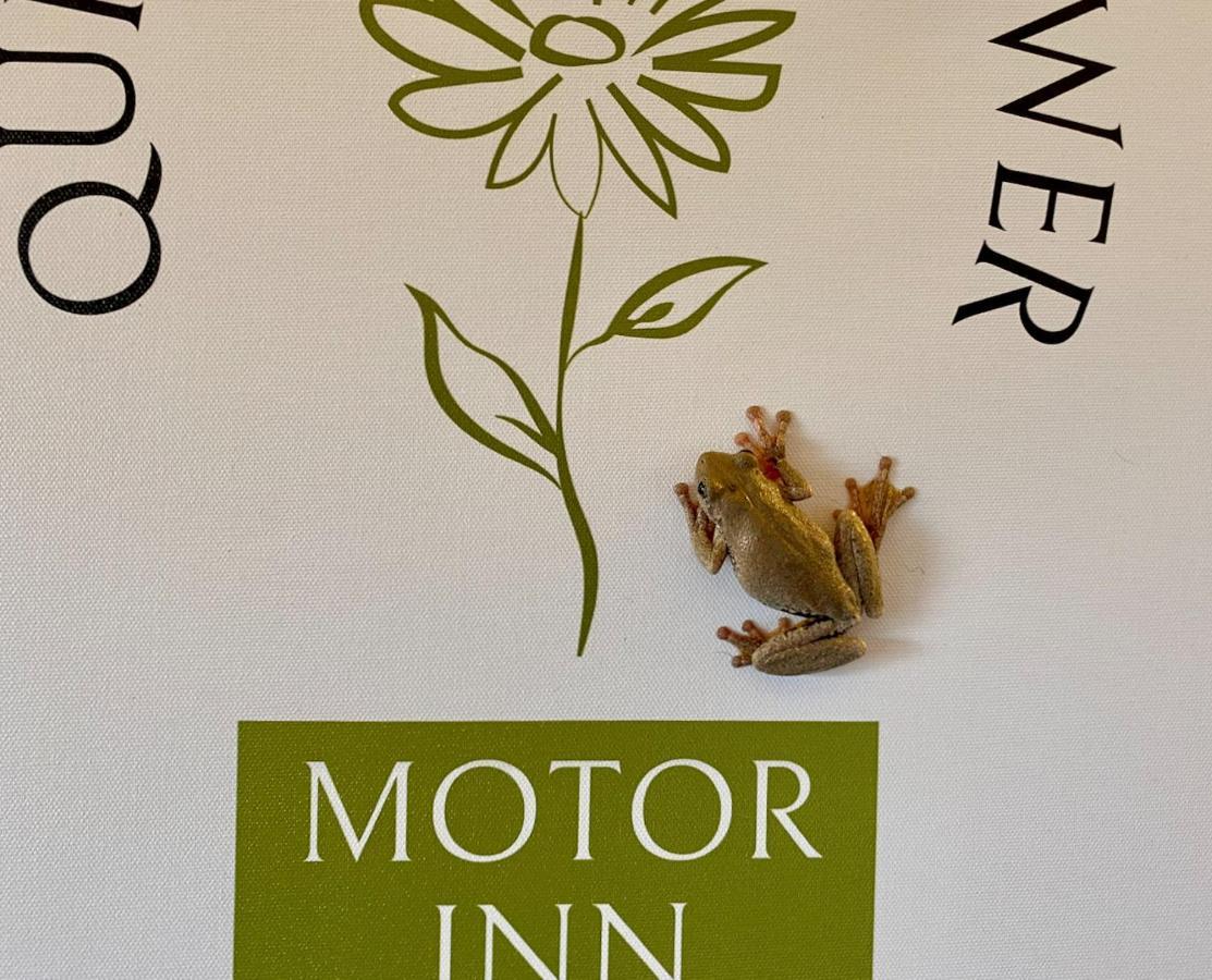 Quirindi Sunflower Motor Inn Esterno foto
